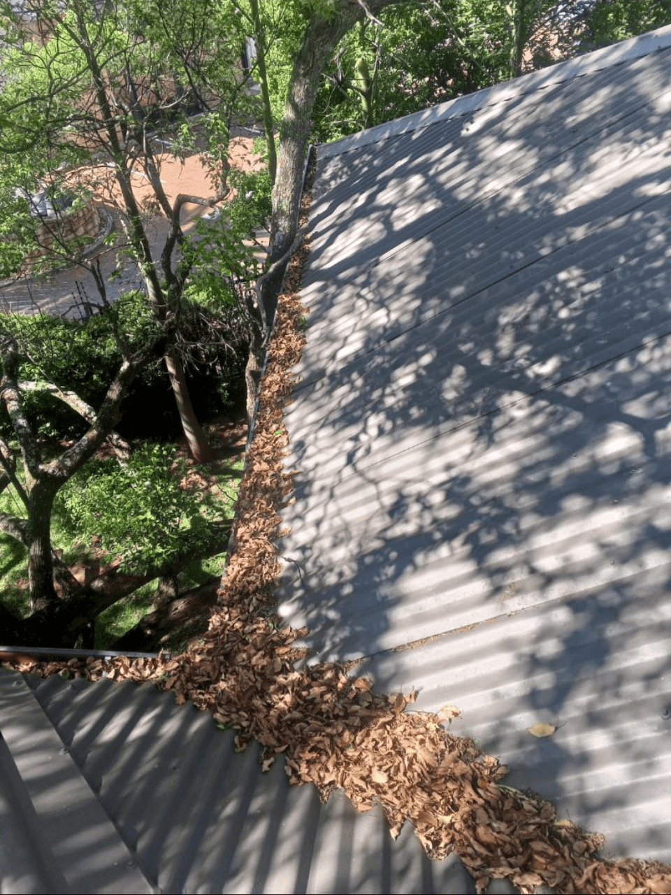 Gutter cleaning
